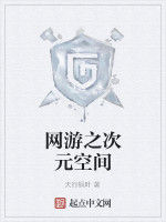 網遊之次元空間