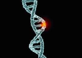 驅動基因 驅動基因