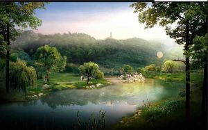 自然公園 自然公園