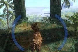 叢林中的豹子 叢林中的豹子