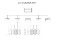 盛隆電氣集團組織結構圖