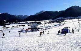 太偉滑雪場 太偉滑雪場