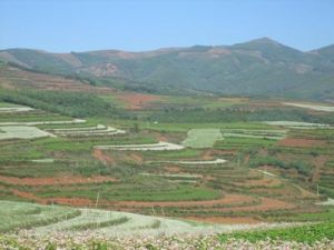 山紅樹自然村 山紅樹自然村