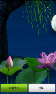 荷塘美景 荷塘美景