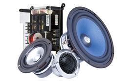 德國海螺 德國海螺