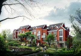 南山1號 南山1號