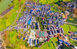 楊林鎮[湖南省衡陽市衡東縣下轄鎮]