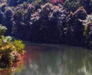 滑水沖自然保護區