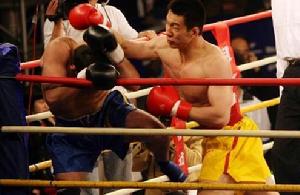 國際武術搏擊爭霸賽