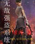 無敵強盜系統 無敵強盜系統