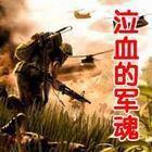泣血的軍魂 泣血的軍魂