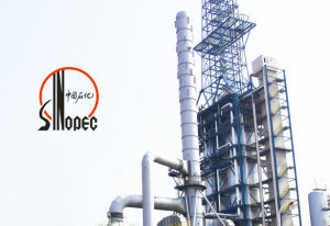 中國石化集團（北海煉化）品牌形象設計