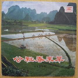 公社春來早 公社春來早