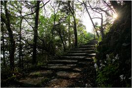 豆腐皮古道 豆腐皮古道