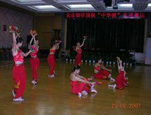 毽球[以幾種球類規則結合的毽子對踢運動]