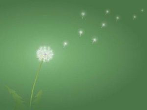 夜靜黃昏 夜靜黃昏