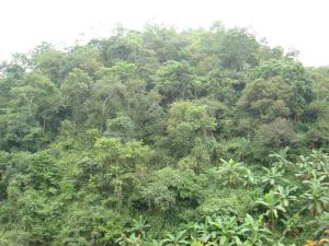 洗臉河自然村 洗臉河自然村