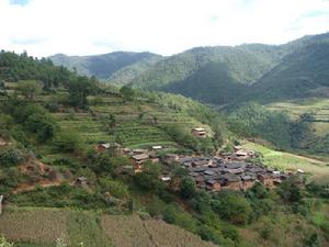 付亂革村 付亂革村