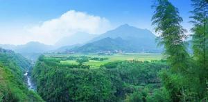 常山[正定常山]