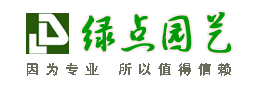 沭陽綠點苗木園藝場 沭陽綠點苗木園藝場