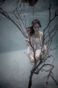 太陽城札記 太陽城札記