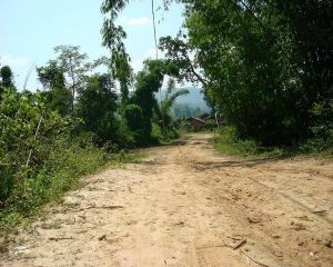 芒帽井自然村 芒帽井自然村