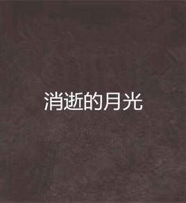 消逝的月光 消逝的月光