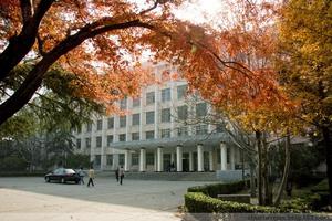 琴湖[河南科技大學論壇名]