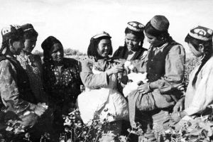 《八千湘女上天山》 《八千湘女上天山》