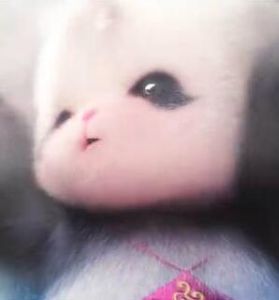 胖娃兒上成都 胖娃兒上成都