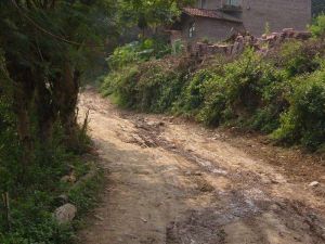 西大理衛村 西大理衛村