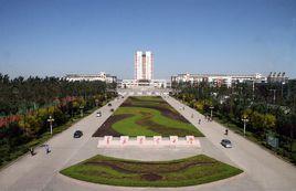 青島農業大學園藝學院 青島農業大學園藝學院