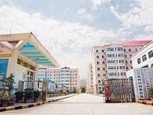 陝西省寶雞市金台區陳倉鎮東嶺村