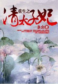 重生之清太子妃 重生之清太子妃