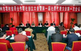 禹州市農村信用合作聯合社 禹州市農村信用合作聯合社