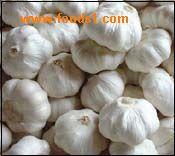 王浩屯鎮 王浩屯鎮