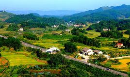 南川大觀鎮 南川大觀鎮