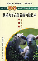 優質肉羊高效養殖關鍵技術