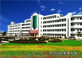 廬江縣樂橋中學 廬江縣樂橋中學