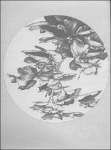 杜丙申素描牡丹集