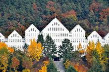 朝鮮大學各級學院展圖