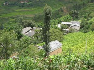 瓦房秧草墩村 瓦房秧草墩村