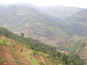 阿母助路村 阿母助路村