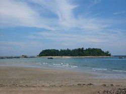 蝴蝶島[浙江嘉興市南北湖景區蝴蝶島]