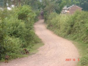 雙橋自然村 雙橋自然村