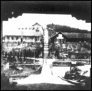 重慶中央大學 重慶中央大學