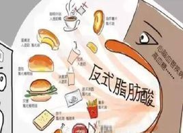 人造反式脂肪 人造反式脂肪