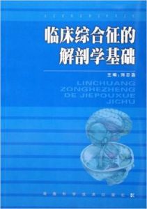 臨床綜合徵的解剖學基礎 臨床綜合徵的解剖學基礎