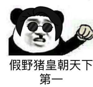 假豬套天下第一