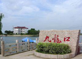 山東夏津九龍口國家濕地公園 山東夏津九龍口國家濕地公園